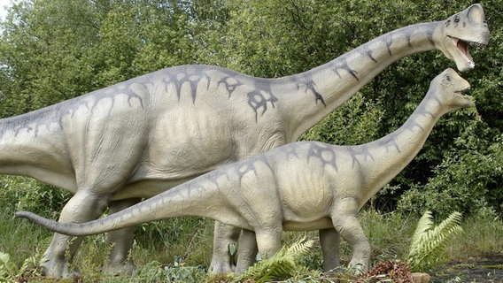 Zwei lebensgroße Dinosaurier-Modelle im Dino-Park Münchehagen. © imago images Foto: Tobias Wölki
