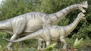 Zwei lebensgroße Dinosaurier-Modelle im Dino-Park Münchehagen. © imago images Foto: Tobias Wölki