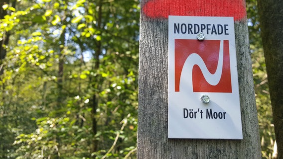 An einen Baum an einem Wanderweg hängt ein Hinweisschild mit der Aufschrift "Nordpfade - Dör't Moor". © NDR Foto: Kathrin Weber