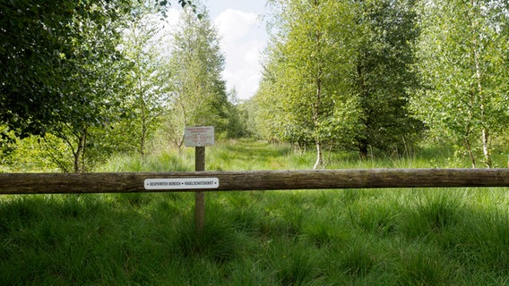 Ein Schild mit Hinweisen zum Vogelschutz versperrt einen Weg im Dosenmoor. © NDR Foto: Anja Deuble