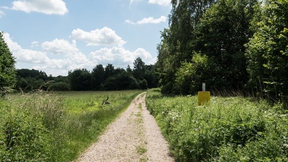 Ein Weg führt in das Naturschutzgebiet am Dummersdorfer Ufer. © NDR Foto: Anja Deuble
