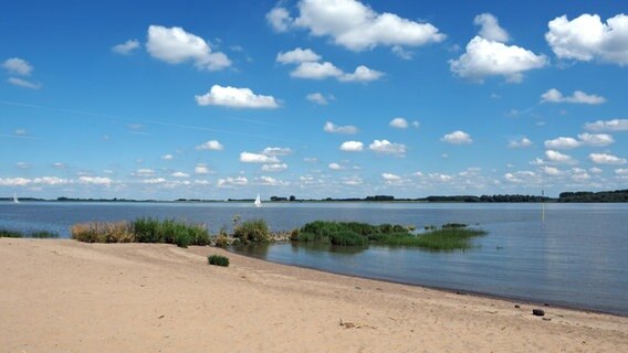 Ein Segelboot auf der Elbe, im Vordergrund ein Sandstrand. © NDR Foto: Anja Deuble