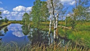 Blick auf das Hahnenmoor im Emsland. © picture-alliance / HB Verlag 