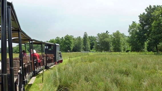 Die Moorbahn fährt über das Außengelände des Emsland-Moormuseums in Geeste. © NDR Foto: Kathrin Weber