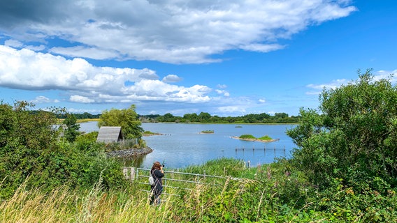A woman stands at Geltinger Birk and takes a picture of the landscape.  © NDR Photo: Kristin Rachka
