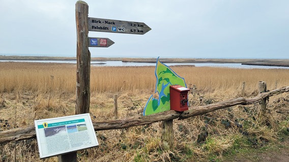 Wanderweg in der Geltinger Birk mit Blick auf Schilf und die Ostsee Wanderweg in der Geltinger Birk mit Blick auf Schilf und die Ostsee © NDR Foto: Kathrin Weber