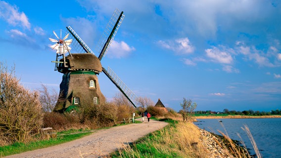 Windmühle Charlotte in der Geltinger Birk. © picture-alliance/Bildagentur Huber/Gräfenhain 