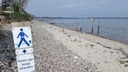 Wanderweg am Strand der Flensburger Förde. © NDR Foto: Tilmann Bünz