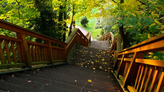 Eine Holzbrücke mit einer Treppe führt hinab zum Römischen Garten in Hamburg. © Picture-Alliance / Botanikfoto Foto: Steffen Hauser