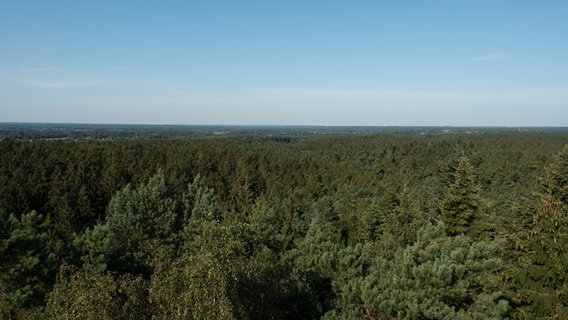Ausblick vom Aussichtsturm in der Hahnheide bei Trittau. © NDR Foto: Anja Deuble