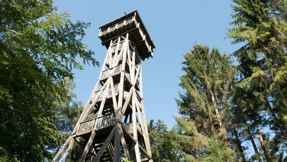 Der Aussichtsturm aus Holz in der Hahnheide bei Trittau.  Foto: Anja Deuble