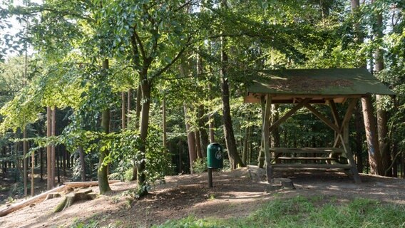 Ein Picknick-Platz am Aussichtsturm in der Hahnheide bei Trittau. © NDR Foto: Anja Deuble