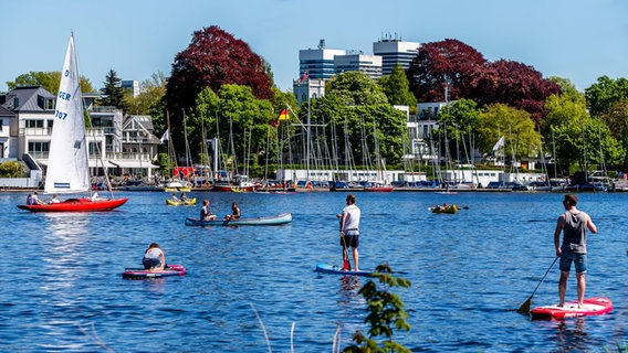 SUP-Paddler, ein Segelboot sowie Paddelboote auf der Außenalster. © imago images Foto: Hoch Zwei Stock/Angerer