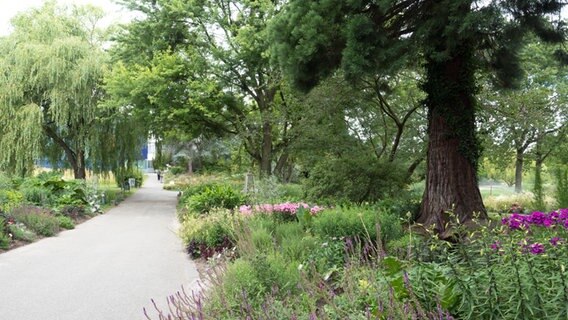 Ein Weg im Botanischen Garten führt an üppig bepflanzten Beeten vorbei.  Foto: Anja Deuble