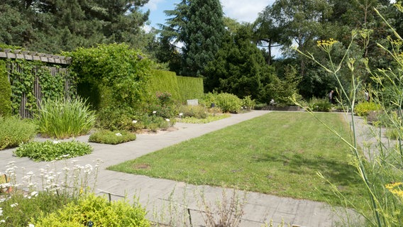 Ein geometrisch angelegter Garten mit Heilkräutern und Nutzpflanzen.  Foto: Anja Deuble