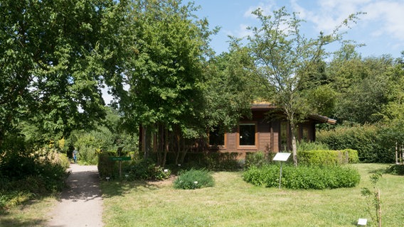 Ein Holzhaus im Loki Schmidt Garten ist das Zuhause der Grünen Schule.  Foto: Anja Deuble