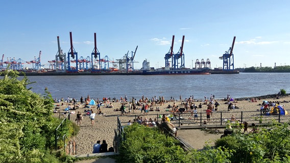 Blick auf den Elbstrand bei Övelgönne und die Hafenanlagen. © NDR Foto: Kathrin Weber