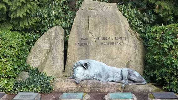 Löwenskulptur auf dem Grab des Tierpark-Gründers Hagenbeck in Hamburg-Ohlsdorf. © NDR Foto: Irene Altenmülller