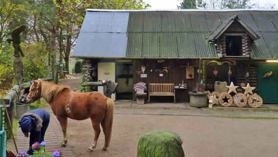 Der Ponyhof im Klövensteen © NDR Foto: Irene Altenmüller