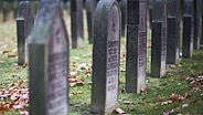 Grabsteine von Kriegsgräbern auf dem Friedhof Hamburg-Ohlsdorf © imago images/Hauke Hass 