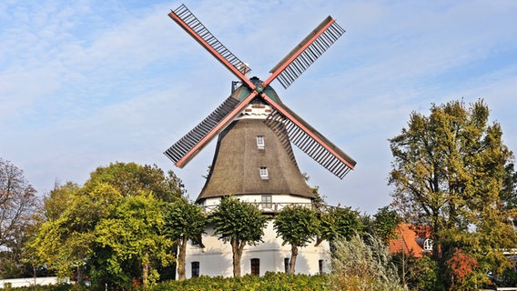 Die Windmühle Johanna im Hamburger Stadtteil Wilhelmsburg Die Windmühle Johanna im Hamburger Stadtteil Wilhelmsburg © Imago/Blickwinkel