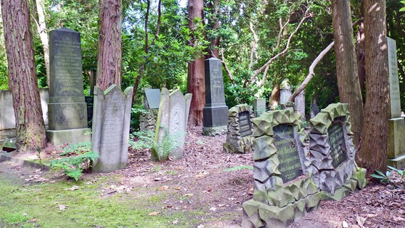 Gräber auf dem Jüdischen Friedhof in Hamburg-Ohlsdorf. © NDR Foto: Irene Altenmüller