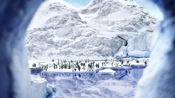 Pinguine auf einer Eisscholle in der Antarktis in einem Abschnitt des Miniatur Wunderlandes in Hamburg. © Miniatur Wunderland Hamburg 