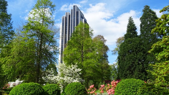 Blick auf das Radisson Hotel-Hochhaus vom Park Planten un Blomen in Hamburg. © NDR Foto: Irene Altenmüller