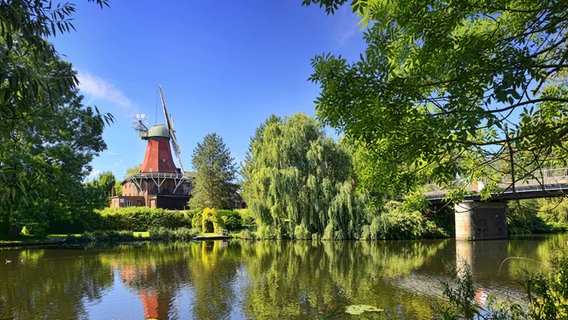 Blick auf die Reitbrooker Mühle, davor die Dove Elbe © picture alliance Foto: Christian Ohde