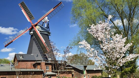 Die Riepenburger Mühle in den Vierlanden © imago Foto: McPHOTO