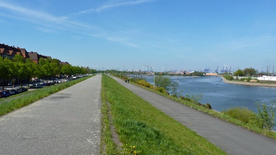Spazierweg auf dem Deich des Spreehafens in Hamburg-Wilhelmsburg. © NDR Foto: Irene Altenmüller