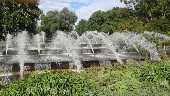 Wasserspiele im Park Planten un Blomen. © NDR Foto: Kathrin Weber