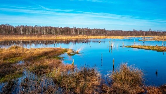 Blick auf den Moorseee im Hamburger Wittmoor. © imago images Foto: CHROMORANGE