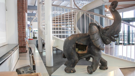 Holzelefant  mit Drogenversteck im Zollmuseum in Hamburg. © NDR Foto: Irene Altenmüller