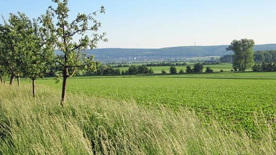 Landschaft im Calenberger Land mit Blick auf den Deister © NDR Foto: Axel Franz