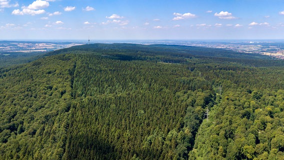 Blick auf den Höhenzug Deister mit dem Kammweg (Luftaufnahme) © Picture-Alliance / Patrick Graf 