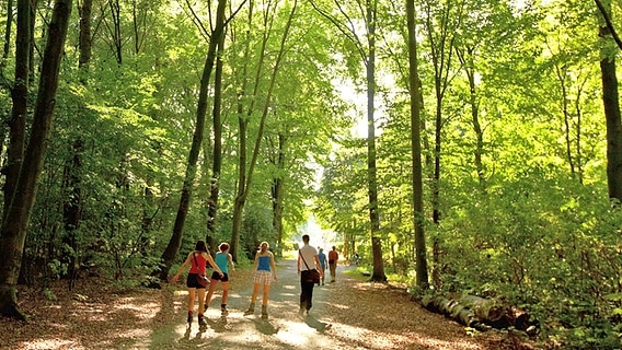 Spaziergänger im Stadtwald Eilenriede in Hannover. © HMTG 
