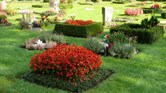 Grabstätten auf dem Friedhof Engesohde in Hannover. © NDR Foto: Axel Franz