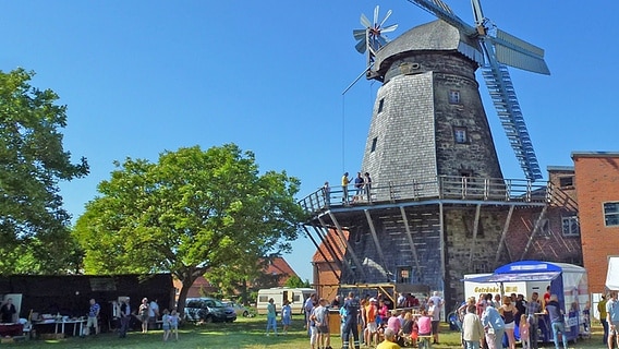 Besucher stehen am Mühlentag vor einer Windmühle. © NDR Foto: Axel Franz