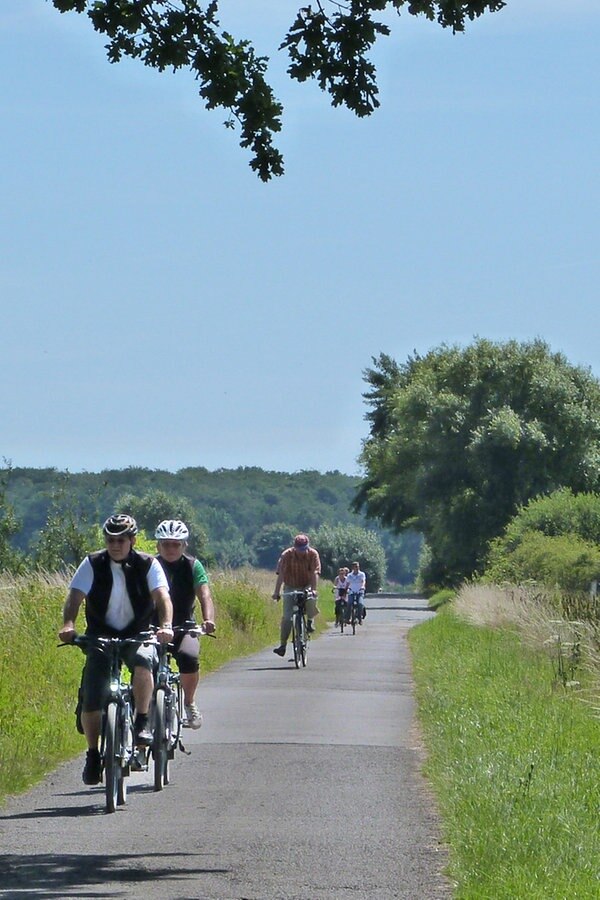 Auf dem Rad rund ums Steinhuder Meer NDR.de Ratgeber