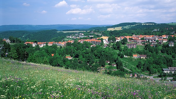 Blick auf St. Andreasberg im Harz. © picture-alliance/Bildagentur Huber 