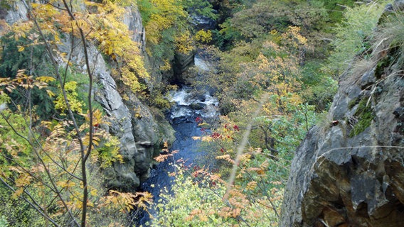 Blick auf die Bode, die zwischen Klippen fließt. © NDR Foto: Axel Franz