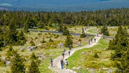 Wanderer unterhalb des Brockens im Harz. © Colourbox Foto: Gestur Leó Gíslason