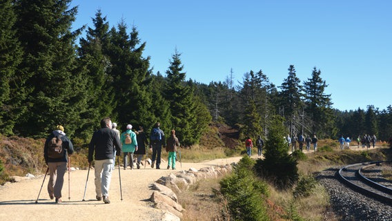 Wanderer auf dem Weg zum Brocken im Harz © Colourbox Foto: Heiko Kueverling