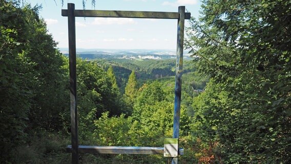Ausblick durch einen blauen Rahmen auf den Wald bei Osterode. © NDR Foto: Anja Deuble