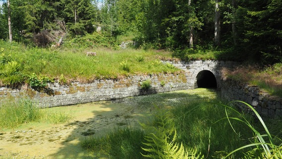 Ein kleines Wasserbecken, die "Huttaler Widerwaage", ist Teil des Wassersystems Oberharzer Wasserregal. © NDR Foto: Anja Deuble