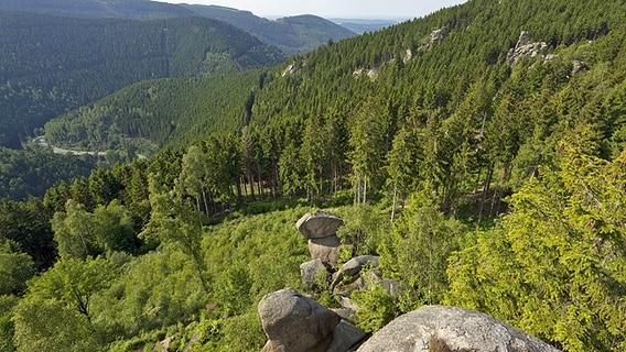 Blick von der Feigenbaumklippe in das Okertal © imago images / Martin Wagner 