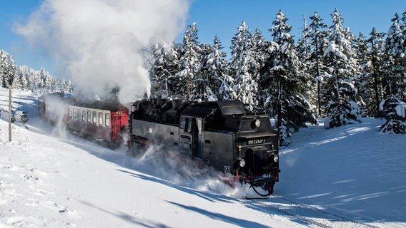 Die Harzer Schmalspurbahn in einer Winterlandschaft. © imago/Thomas Eisenhuth 