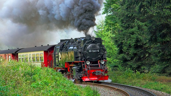 Die Brockenbahn fährt im Sommer durch den Harz. © picture-alliance/united-archiv 