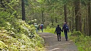 Wanderer auf einem Waldweg im Harz © NDR Foto: Axel Franz